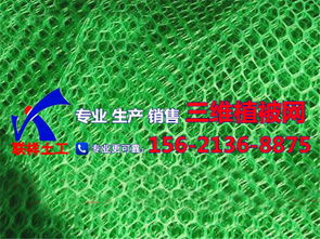 湖南永州 自然与科技的织锦，土工网植草筑就绿色未来